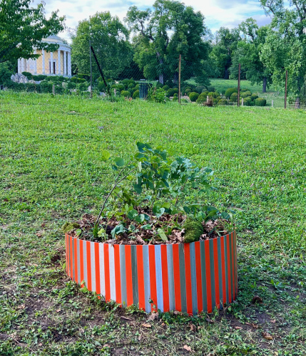 Ich bin Wildnis. Eine kleine Geschichte des verschwundenen Raumes I + II, 2025Kunstverein Eisenstadt zu Gast im GärntnerhausDer Nachmittag eines Gärtners mit Eiko Gröschl, Muntean/Rosenblum, Viktoria TremmelKuratiert von Kurt KladlerOutdoor: Ein Stück Nationalpark Thayatal, Metallring, ca 40 x 100 x 100cmFoto, 60x45cm, Installation