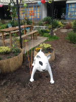 Anfang und Ende der 1000m